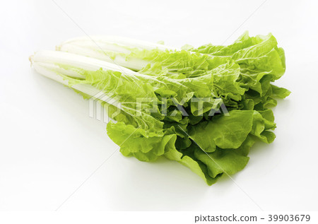 桑托尼亞 39903679