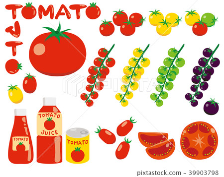 Illustration of various kinds of simple tomatoes Illustration of various kinds of simple tomatoes 39903798
