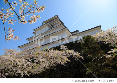 Tsuruga castle and cherry blossoms in full bloom (Fukushima Prefecture) Tsuruga castle and cherry blossoms in full bloom (Fukushima Prefecture) 39904462