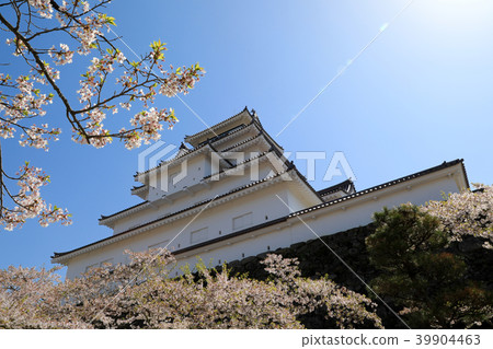 Tsuruga castle and cherry blossoms in full bloom (Fukushima Prefecture) Tsuruga castle and cherry blossoms in full bloom (Fukushima Prefecture) 39904463