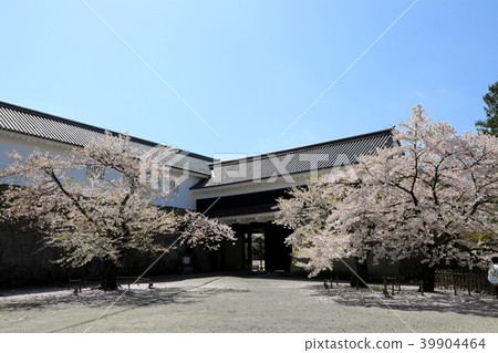 Tsuruga Castle Oppemun and Cherry Blossoms in Full Bloom (Fukushima Prefecture) Tsuruga Castle Oppemun and Cherry Blossoms in Full Bloom (Fukushima Prefecture) 39904464