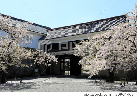 Tsuruga Castle Oppemun and Cherry Blossoms in Full Bloom (Fukushima Prefecture) Tsuruga Castle Oppemun and Cherry Blossoms in Full Bloom (Fukushima Prefecture) 39904465