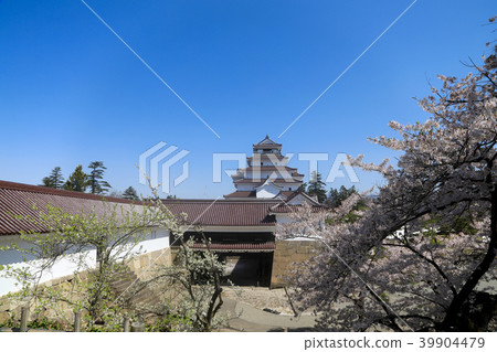 Tsuruga castle and cherry blossoms in full bloom (Fukushima Prefecture) Tsuruga castle and cherry blossoms in full bloom (Fukushima Prefecture) 39904479