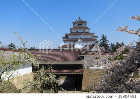Tsuruga castle and cherry blossoms in full bloom (Fukushima Prefecture) Tsuruga castle and cherry blossoms in full bloom (Fukushima Prefecture) 39904481