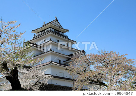 Tsuruga castle and blue sky and cherry trees in full bloom (Fukushima Prefecture) Tsuruga castle and blue sky and cherry trees in full bloom (Fukushima Prefecture) 39904847