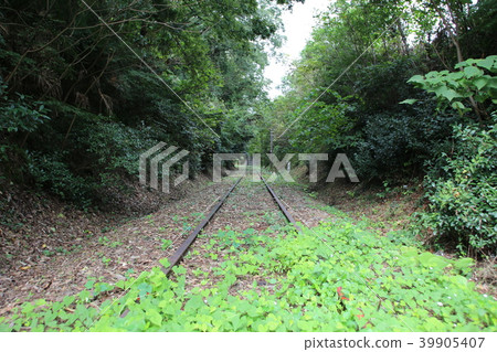 Abandoned track Abandoned track 39905407