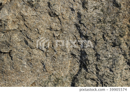 Rough rough skin Rough rough skin 39905574