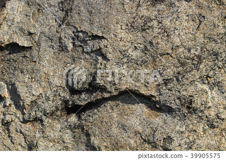 Rough rough skin 39905575