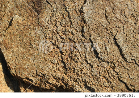 Rough rough skin Rough rough skin 39905613