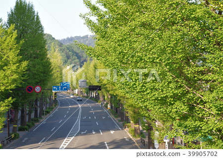Koshu Highway銀杏樹，東京景觀， 39905702