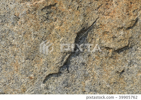 Rough rough skin Rough rough skin 39905762