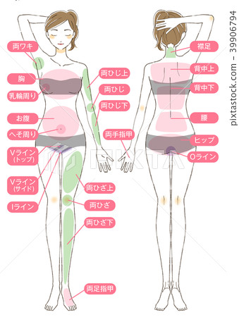 There Are Female Body Illustration Parts Stock Illustration 39906794 Pixta