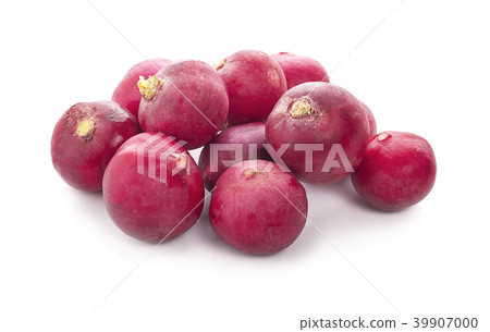 Small garden radish isolated on white background Small garden radish isolated on white background 39907000