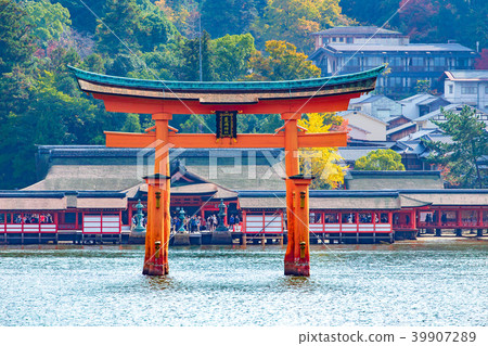 在嚴島神社的鳥取 39907289