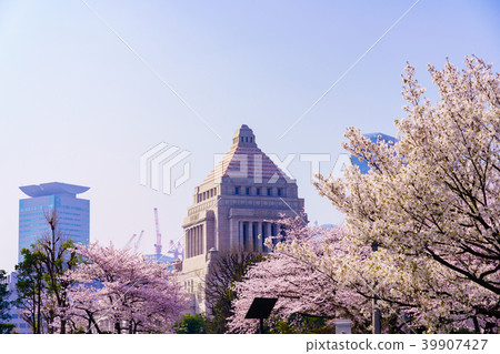櫻花樹和議會大廈 39907427