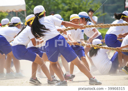 Elementary school sports festival tug of war 39908315
