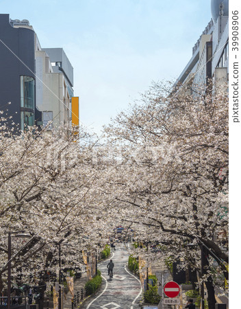 Sakura-dori Shibuya Sakuragaoka（東京都澀谷區） 39908906