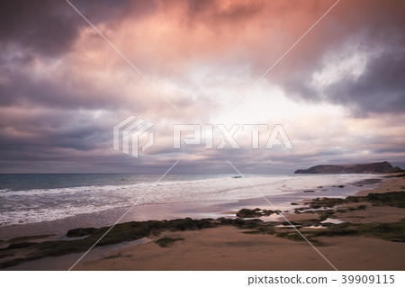 Wet stones with seaweed, beach landscape 39909115