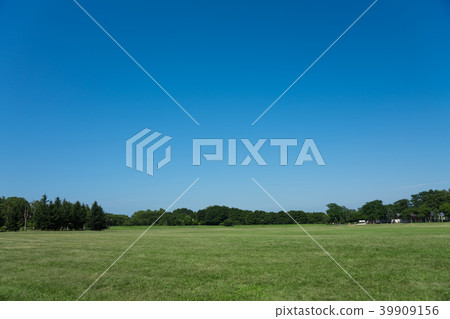 Blue sky and lawn Blue sky and lawn 39909156