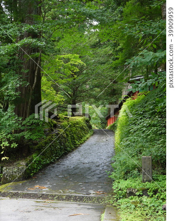 Nikko Toshogu 39909959