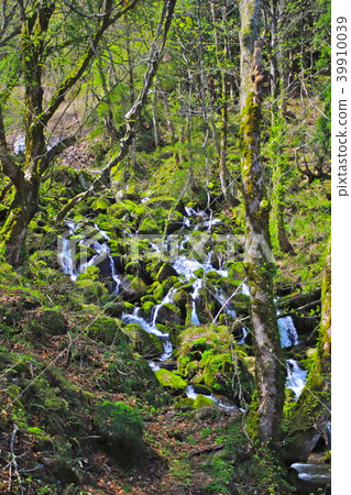 Ototaki Toyama Prefecture Uozu City Hirasawa area 39910039
