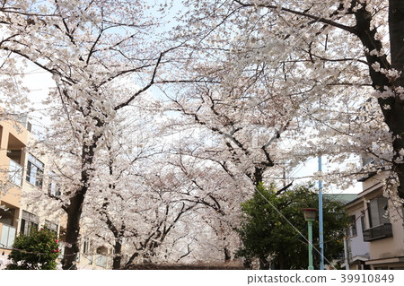 Scenery of Toda City, Saitama Prefecture Scenery of Toda City, Saitama Prefecture 39910849