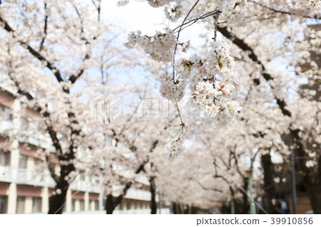 Scenery of Toda City, Saitama Prefecture 39910856