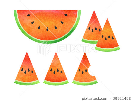 watermelon watermelon 39911498