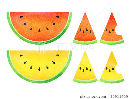 watermelon watermelon 39911499