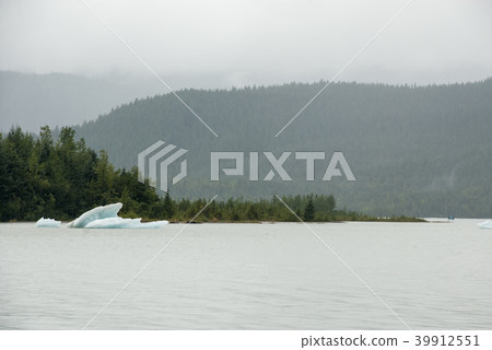 USA Alaska - Mendenhall Glacier and Lake 39912551