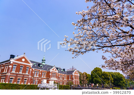 (東京)東京國立近代美術館,東京美術館盛開的櫻花樹 (東京)東京國立近代美術館,東京美術館盛開的櫻花樹 39912870