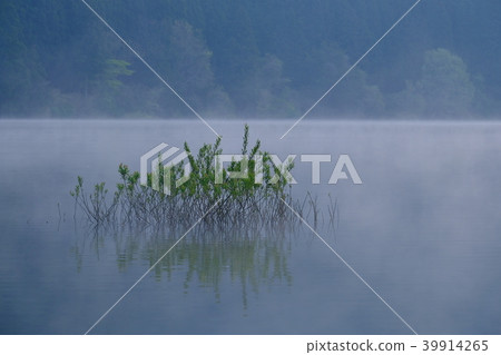 晨霧中的室郎湖（奈良縣宇田市） 39914265