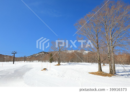 Okushiga Kogen滑雪勝地 Okushiga Kogen滑雪勝地 39916373