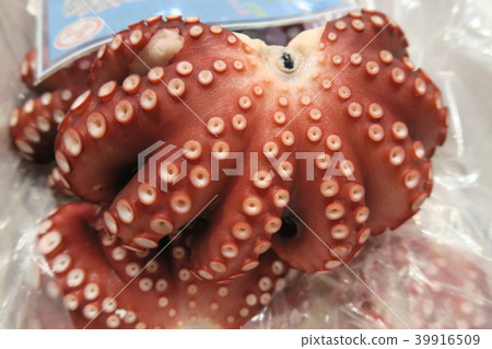 Octopus · octopus 39916509