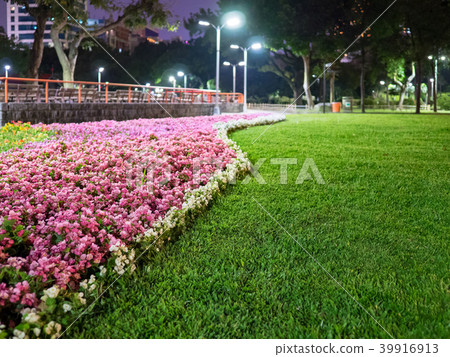 Evening park Evening park 39916913