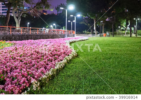 晚上的公園 39916914