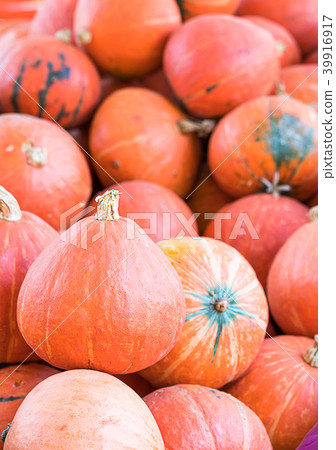 Bunch of orange pumpkins for sale 39916917
