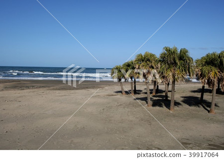 充滿熱帶風景的熱帶風景宮崎白濱海灘 39917064