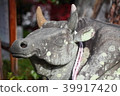 Tenmagu cattle 39917420