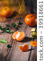 Imitation tree Monjuru Tachiko 39918661