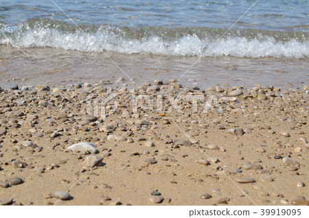 Beach and a wave Beach and a wave 39919095