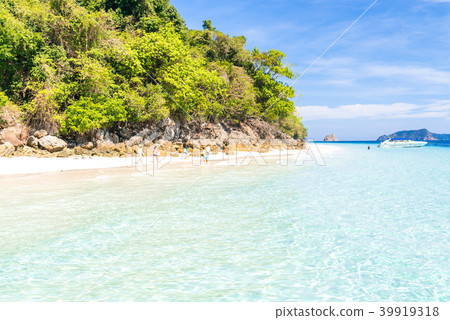 Tropical white sand beach Tropical white sand beach 39919318