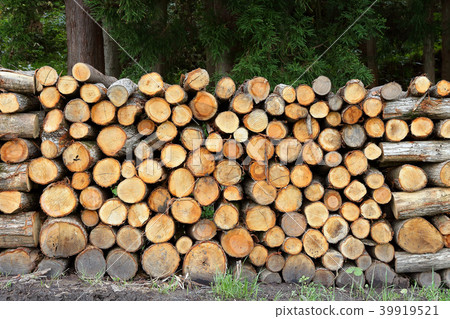 Firewood Preparation Firewood Preparation 39919521