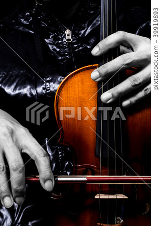 violinist hands posing on classical violin 39919893