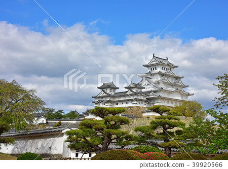 Himeji castle Himeji castle 39920566