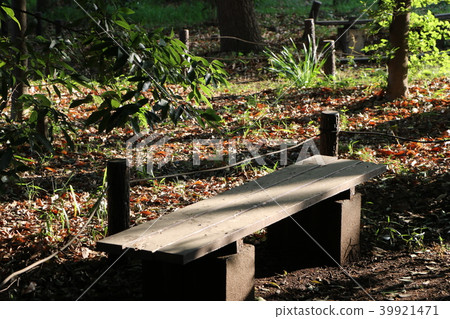 Bench Bench 39921471