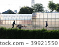 Agriculture  39921550