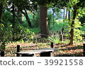 Bench 39921558
