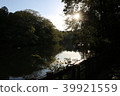 A lake 39921559