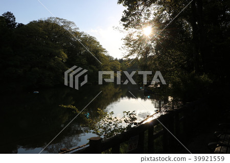 A lake 39921559